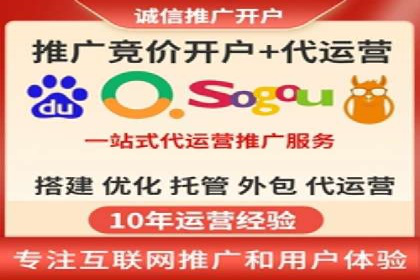 搜索引擎优化（SEO）与竞价广告（SEM）的对比案例