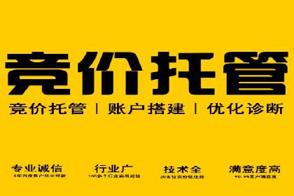 教育行业SEM服务的投放策略及效果展示